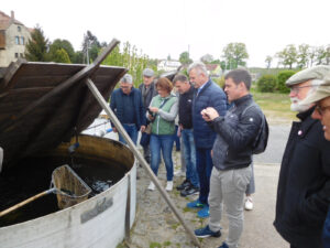 Gäste der Partnergemeinde Argenbühl in Radeburg 04/2024 - Besuch der Teichwirtschaft Moritzburg