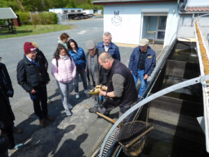 Gäste der Partnergemeinde Argenbühl in Radeburg 04/2024 - Besuch der Teichwirtschaft Moritzburg