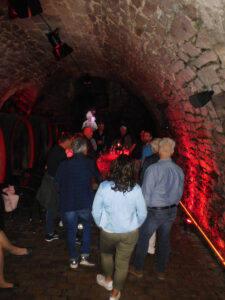 Gäste der Partnergemeinde Argenbühl in Radeburg 04/2024 - Besuch der Winzergenossenschaft Meißen